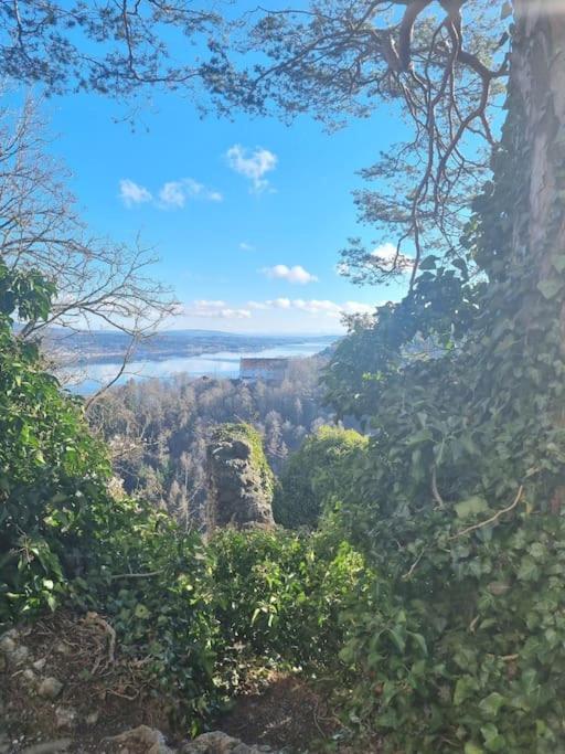 Charismatisch Und Gemuetlich In Guettingen, Nah Zum Buchensee Und Bodensee, Tolle Lage Radolfzell am Bodensee Eksteriør bilde