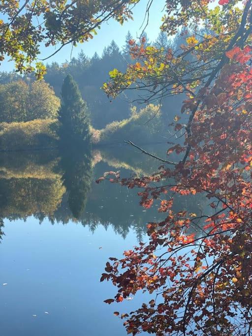 Charismatisch Und Gemuetlich In Guettingen, Nah Zum Buchensee Und Bodensee, Tolle Lage Radolfzell am Bodensee Eksteriør bilde