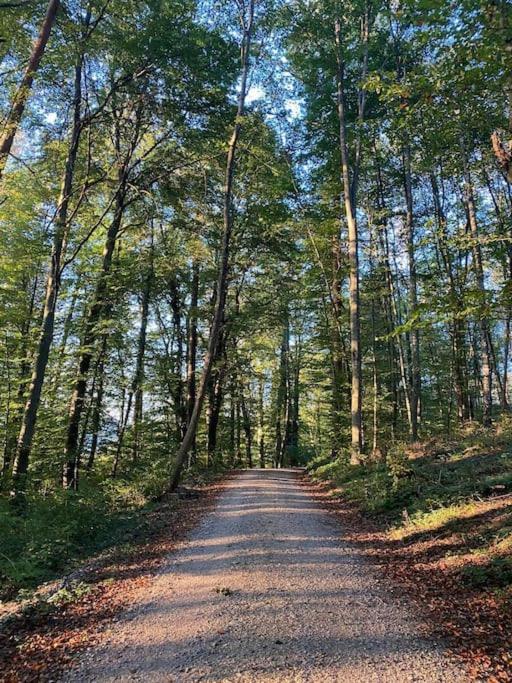 Charismatisch Und Gemuetlich In Guettingen, Nah Zum Buchensee Und Bodensee, Tolle Lage Radolfzell am Bodensee Eksteriør bilde